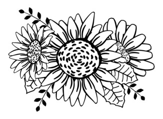 Bouquet of three sunflower flowers, branches, leaves. Flower arrangement, chamomile, gerbera. Doodle linear drawing. Vector illustration isolated on white background. Black sketch, outline