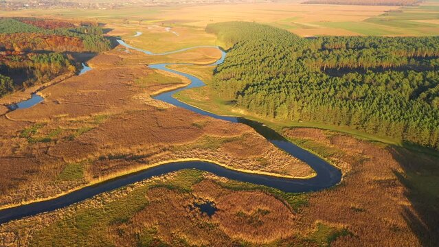 Exotic view from a drone flying over the sinuous river in sunny day. Filmed in 4k, aerial drone video.