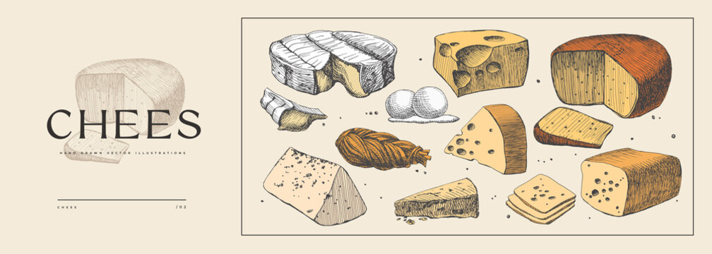 Set of hand-drawn cheeses on a light background. Mozzarella, Maasdam, Dutch cheese, Cheddar. Retro picture for the menu of restaurants, markets, and shops. Vector illustration in engraving style.