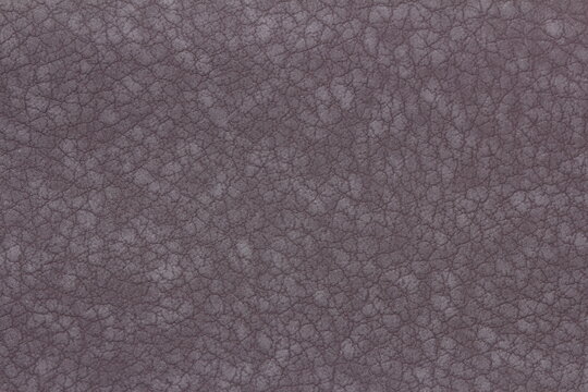 texture of genuine calfskin © pavelpuzzle