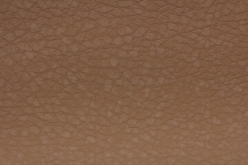 texture of genuine calfskin