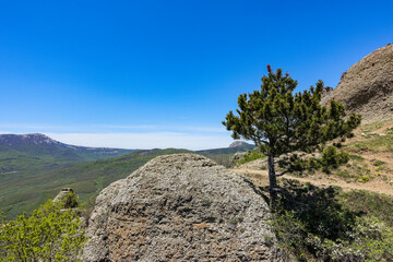 View of the Chatyr-Dag plateau from the top of the Demerdzhi mountain range in Crimea. Russia