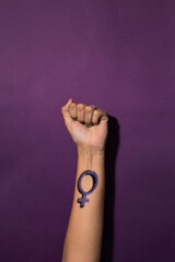 Woman raises her fist with a feminist symbol on her forearm, fights for gender equality, feminism,...