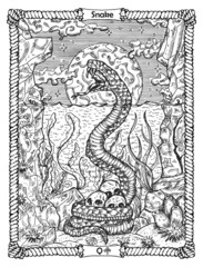Fototapeta na wymiar Snake card from the oracle Old Marine Lenormand deck with water reptile. Nautical vintage background, coloring book page, t-shirt and tattoo vector graphic, pirate adventures concept.