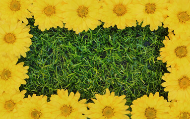 Frame made of dandelion flowers on artificial green grass background with copy space.