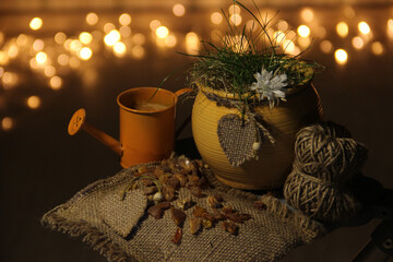  still life with watering can