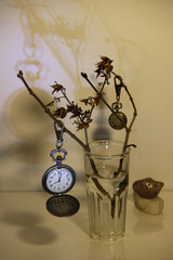 still life with clock and glass