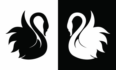 black and white swans