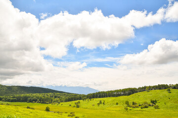 The plateau of Nagano sit silently with emerald green meadow and the cerulean sky in summer Japan .