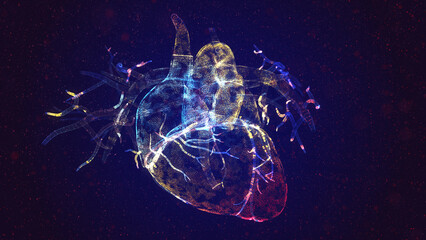Human Heart Anatomy. Human circulatory system. Heart beat concept. Particles colorful glow mesh 3d Model. 3d illustration.
