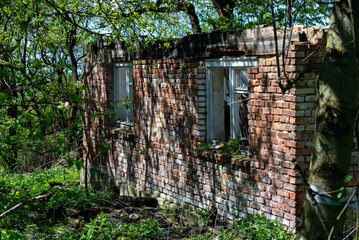 Opuszczony dom w starym sadzie, mur z cegieł.