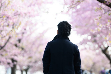 桜のトンネル 音楽が聞こえてきそうな男性の後ろ姿