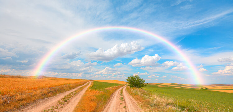 Beautiful summer landscape with wheat field and dramatic stormy clouds with rainbow - Red path leading to the horizon