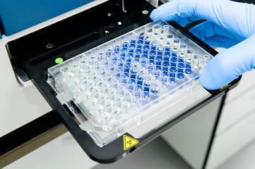 Scientist is putting 96 well micro plate into plate reader machine to measure and analyze enzyme...