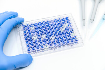 Scientist is testing ELISA immunoassay by 96 well micro plate and pipettes - obrazy, fototapety, plakaty