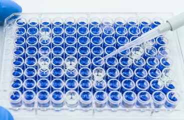 Cell viability assay by 96 well micro plate for Drug screening
