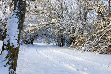 snow covered road