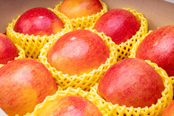 Fresh Red apple in packaging ready to sell, US. Red Envy apple in the box.