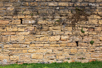 Fragment of ancient wall in Lyon, France with green grass in front and parst of dry plants on surface of the wall