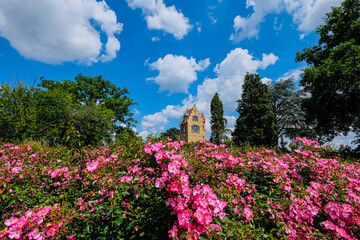 Naklejka premium Ancient spanish tower on bright summer day among pink roses