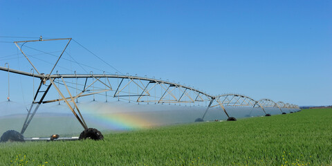 irrigation system in the field