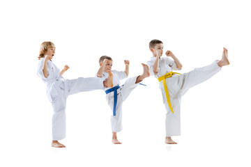Group of kids, boys, taekwondo athletes wearing doboks training together isolated on white...