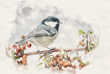 Coal tit ( Periparus ater ) close up- waterpaint image © Piotr Krzeslak