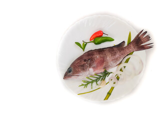 Rooster hind grouper or Pink Grouper decorated on a white plate.Selective focus.