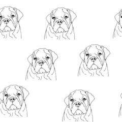 English Bulldog vector seamless pattern, hand drawn background with sketch of a dog