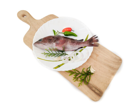 Rooster hind grouper or Pink Grouper decorated on a white plate.Selective focus.