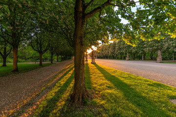 Garden of Bruchsal Castle at sunset.