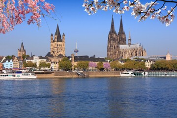 Spring time view in Cologne city, Germany. Cherry blossoms in Germany.