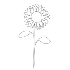 sunflower one line drawing, outline, vector, isolated