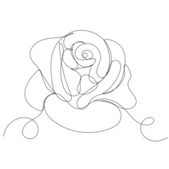 rose drawing in one line, vector