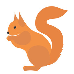 squirrel flat design on white background isolated, vector