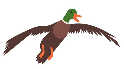 flying duck flat design on white background isolated, vector