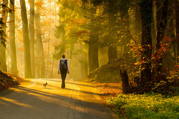 Woman walking in autumn forest