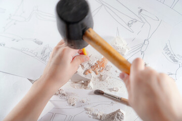 Child plays a paleontologist, excavates a dinosaur skeleton. Children's interest with dinosaurs and...