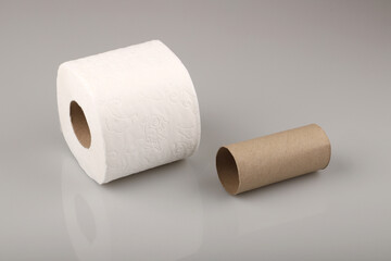 Empty toilet paper roll isolated on white background.