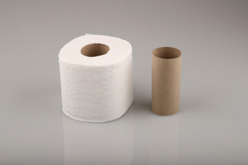 Empty toilet paper roll isolated on white background.