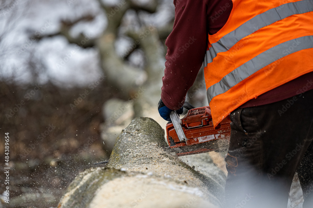 Sticker A lumberjack working in the forest in winter. The Carpathian Mountains, Poland.