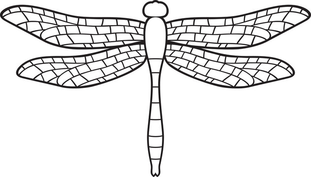 Dragonfly Insect Black and White Vector Illustration