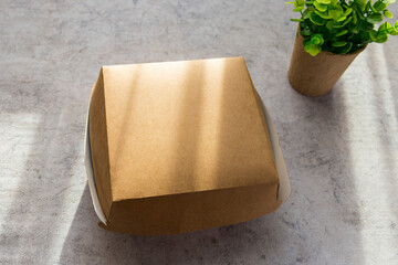 Hamburger craft box and plants