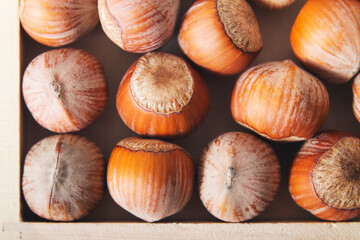  Hazelnut in a box top view  Food background