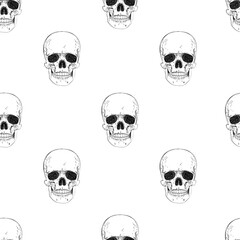 Human skeleton hand drawing