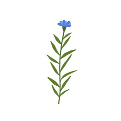 Abstract blue wildflower isolated on white background. Wild flower floral botanical plant. Meadow and field herb. Delicate spring flower illustration in hand drawn flat style