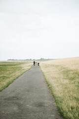 Fahrradtour an der Elbe