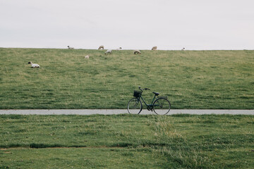 Fahrradtour am Deich