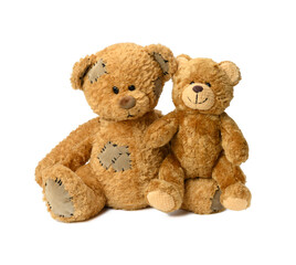 two brown cute teddy bears on a white background