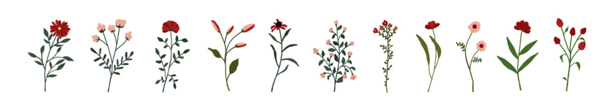 Red wildflowers set. Pink wild flowers floral botanical plants. Meadow and field herbs. Delicate summer flowers illustration in hand drawn flat style isolated on white background